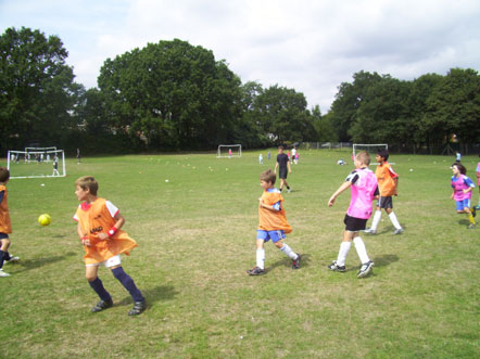 summer096.jpg