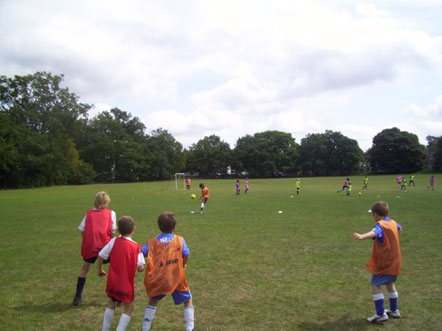 summer09w.jpg