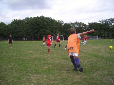 summer09y.jpg
